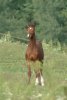 Sax a 4 mesi
